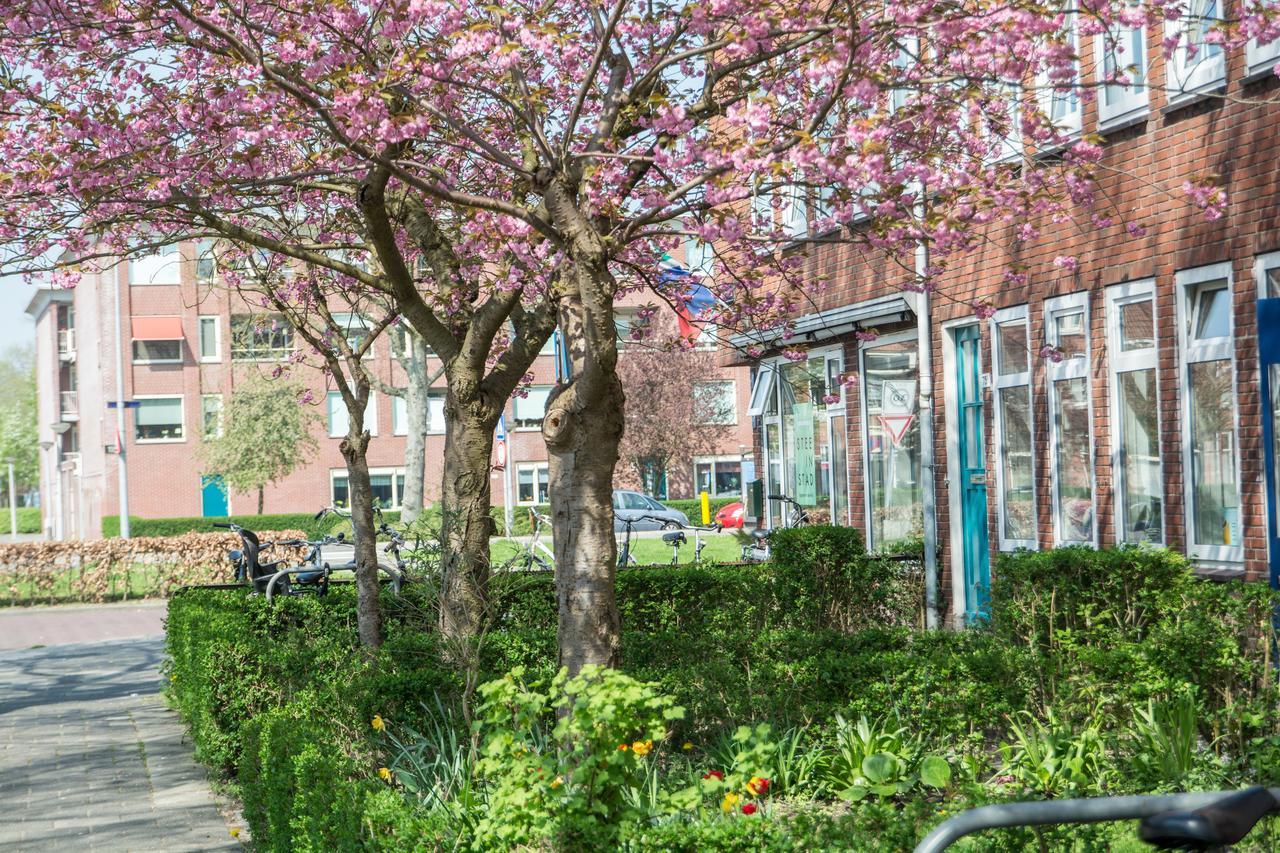 Stee In Stad Groningen Dış mekan fotoğraf